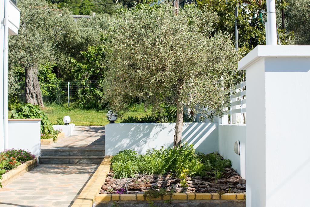 Olive Garden Villas And Apartments Chrysi Ammoudia Zewnętrze zdjęcie